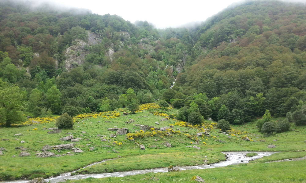Réserve Naturelle d'Orlu - Ascou - Ax-les-Thermes