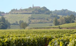 Chateau Clement Termes